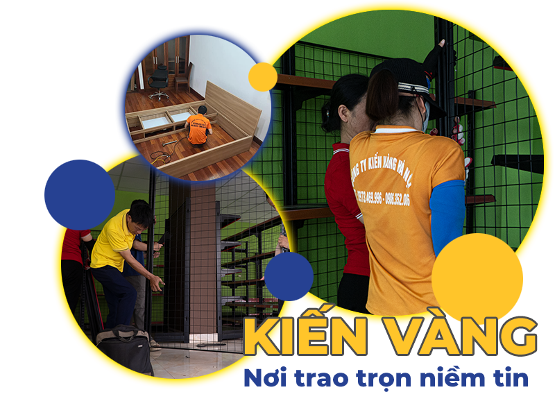 Kiến Vàng Nơi Trao Trọn Niềm Tin