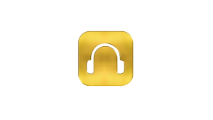 ICON HỖ TRỢ 247 – BẤT KỂ NGÀY ĐÊM